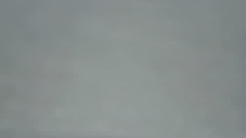 zobilov online show from 05-31-26, 06:09