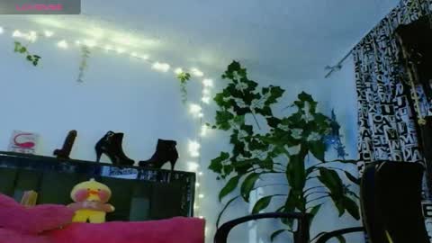 Snapshot of zoemi chatting on 01-24-25, 01:45 zoemi online show from 01-24-25, 01:45