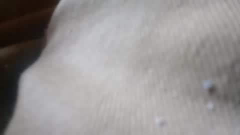 bigdickdaddy online show from 06-04-26, 05:08