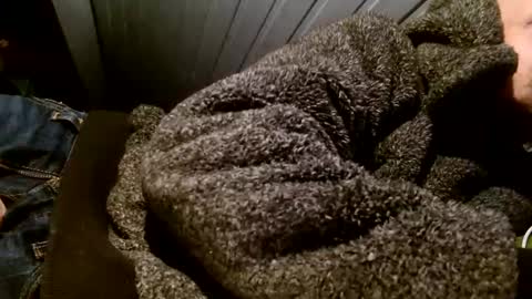 zolexthomas online show from 02-01-25, 07:55