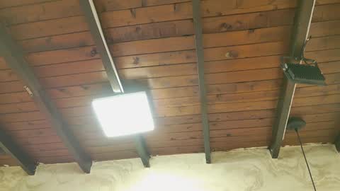 zoley  online show from 10-06-25, 03:04