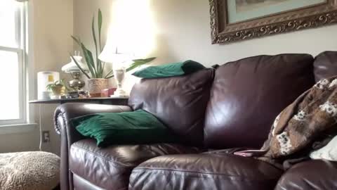 Jesse online show from 06-15-26, 10:45