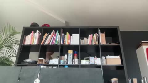 zwickauer1969 online show from 02-27-25, 08:06