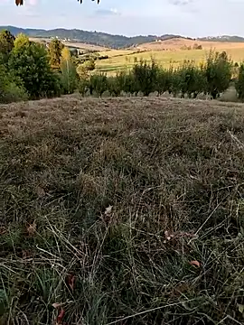 Snapshot of Nishu12356g chatting on 09-08-25, 04:06 Nishu12356g online show from 09-08-25, 04:06