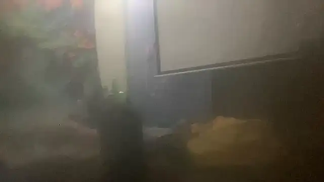 Fr4nk1eFFuxxx online show from 03-14-26, 09:48