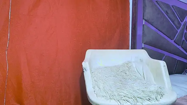 roxana collins online show from 09-21-25, 09:22