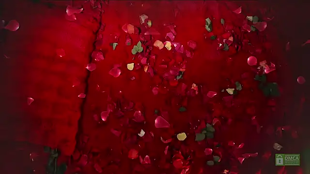 abbyhall  online show from 02-14-26, 08:49