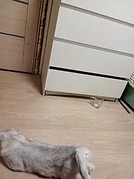 Snapshot of Linda_Gregory chatting on 02-18-26, 11:33 Linda Gregory online show from 02-18-26, 11:33