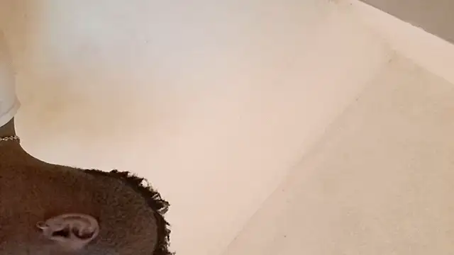 royblackbigpvt online show from 03-25-26, 06:03