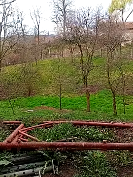 Snapshot of Medelin92 chatting on 04-03-26, 05:49 Medelin92 online show from 04-03-26, 05:49