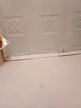 pretty-donna online show from 10-21-25, 04:57