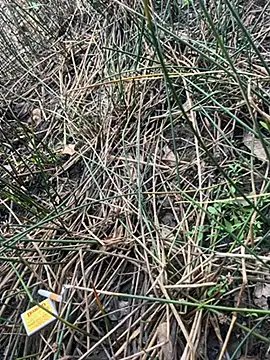 Snapshot of Yurt000 chatting on 09-16-25, 04:57 Yurt000 online show from 09-16-25, 04:57