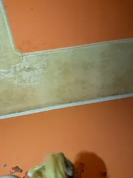 Snapshot of ducicsajsziii chatting on 12-09-24, 11:03 ducicsajsziii online show from 12-09-24, 11:03