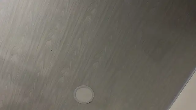 dolly zoe online show from 02-24-26, 05:16