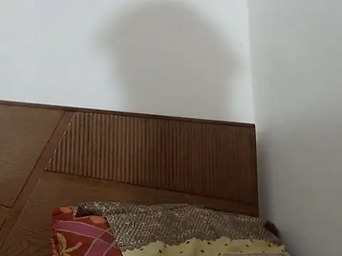 shekira99 online show from 09-13-25, 12:27