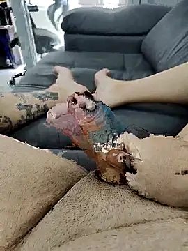 Snapshot of pete_97 chatting on 09-21-25, 03:02 pete 97 online show from 09-21-25, 03:02