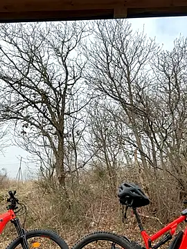 Snapshot of petrouchkaaa_ chatting on 03-02-26, 09:38 petrouchkaaa online show from 03-02-26, 09:38