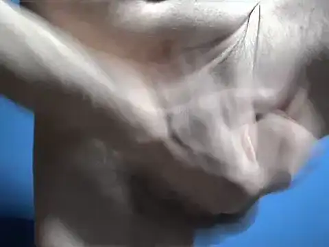 Pol8822 online show from 03-04-26, 11:44