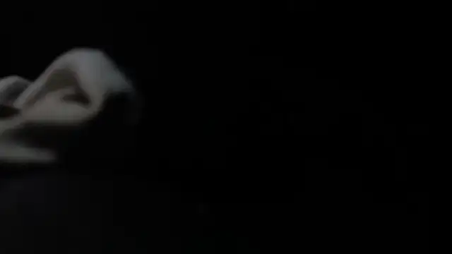 Snapshot of VARGAcz chatting on 02-04-26, 01:50 VARGAcz online show from 02-04-26, 01:50