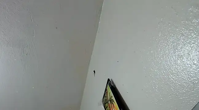 Snapshot of katery_wok11 chatting on 03-21-25, 07:33 katery wok11 online show from 03-21-25, 07:33