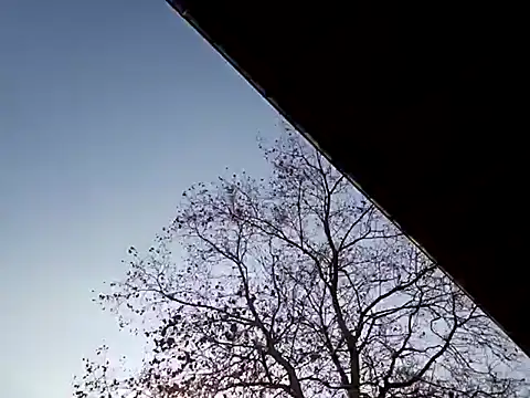 Mia Railey online show from 03-07-25, 03:49