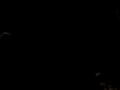 Nawtyslaveteen online show from 11-24-25, 08:30