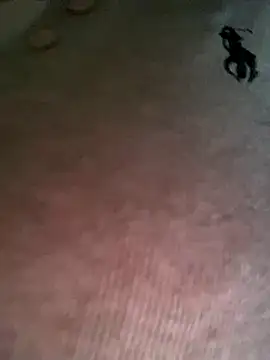 Ruby bear online show from 12-19-25, 03:46