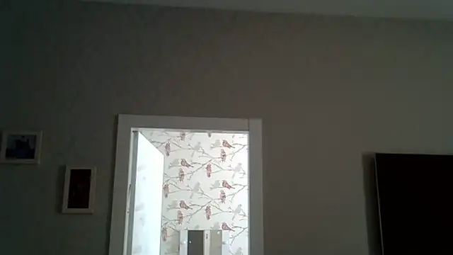 ZarinaSwift online show from 06-17-26, 09:45