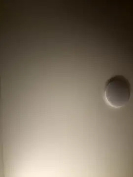 Dreamer553 online show from 12-04-25, 12:31