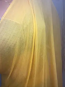 Snapshot of kannadatelugugirl chatting on 12-23-24, 02:17 kannadatelugugirl online show from 12-23-24, 02:17