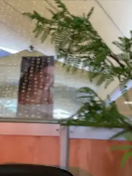 Snapshot of Emilia_Bakerr chatting on 12-15-24, 09:31 Emilia Bakerr online show from 12-15-24, 09:31