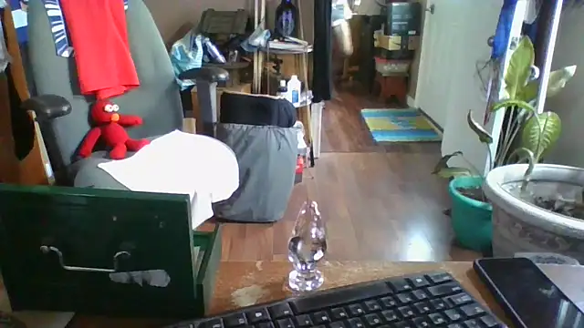 Snapshot of Daremeknot chatting on 12-30-24, 07:00 Daremeknot online show from 12-30-24, 07:00