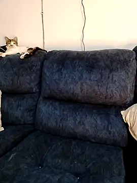 Snapshot of MrsFoucher chatting on 02-12-26, 04:40 MrsFoucher online show from 02-12-26, 04:40