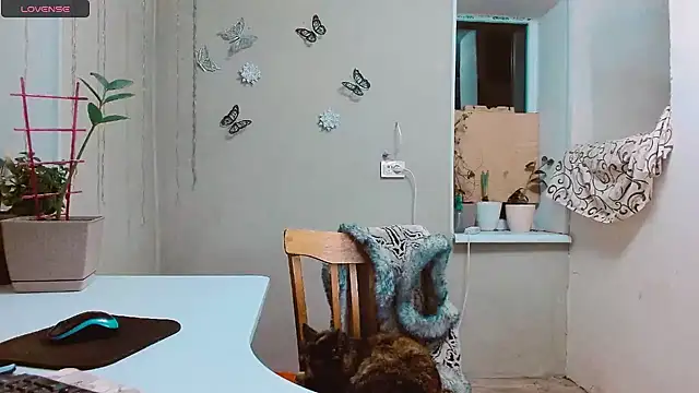 RosaJil online show from 01-28-25, 04:08