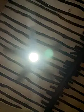 petiteebony 81 online show from 11-26-25, 06:31