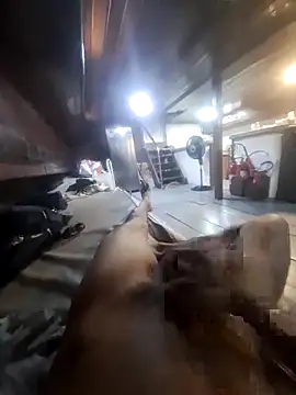 Jhon22z online show from 02-23-26, 04:37