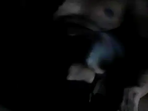 GRATEFUL16 online show from 02-06-25, 07:40