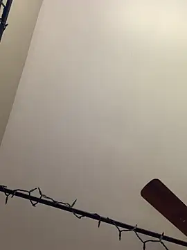 Snapshot of KittyLoroi chatting on 10-27-25, 05:17 KittyLoroi online show from 10-27-25, 05:17