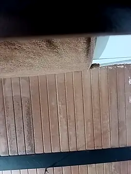 Yeyeyleidi online show from 10-19-25, 03:40