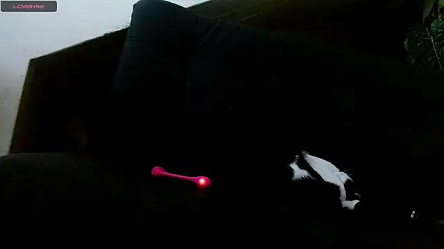 Snapshot of lady_scarlettt chatting on 02-18-25, 04:26 lady scarlettt online show from 02-18-25, 04:26