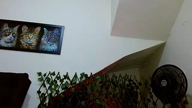 Snapshot of lady_scarlettt chatting on 02-23-25, 04:39 lady scarlettt online show from 02-23-25, 04:39