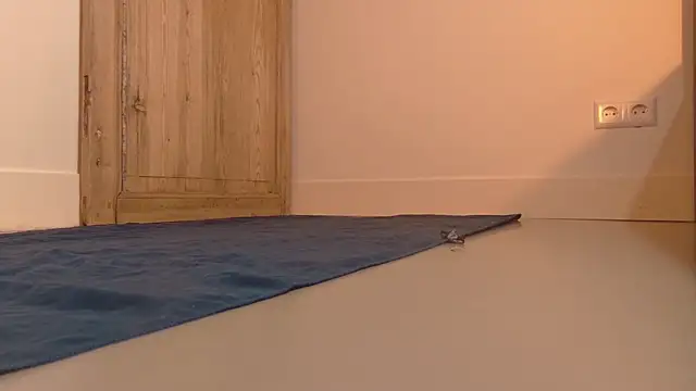 Snapshot of sorairosky chatting on 03-13-26, 06:31 sorairosky online show from 03-13-26, 06:31