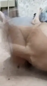 quierodarleche69 online show from 01-20-25, 03:26