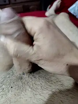 quierodarleche69 online show from 10-31-25, 02:01