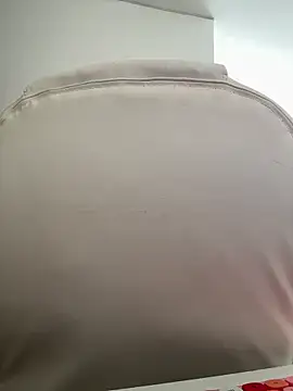 pamell col online show from 11-02-25, 01:24