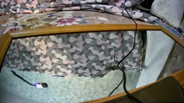 Kai and you online show from 11-21-25, 12:21