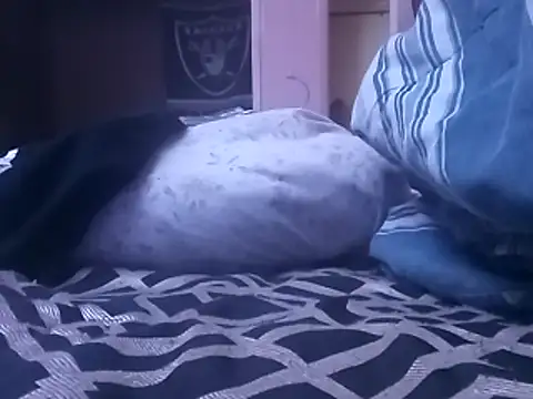 Blkstylion online show from 02-05-26, 07:07