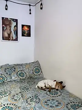 LiliJones  online show from 02-15-25, 05:50