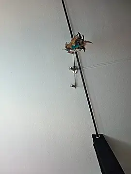 dieGeile0411 online show from 10-24-25, 09:49