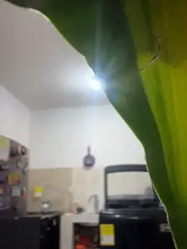 emily rosse04 online show from 03-04-26, 11:16